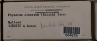 Image Associated With the Occurence